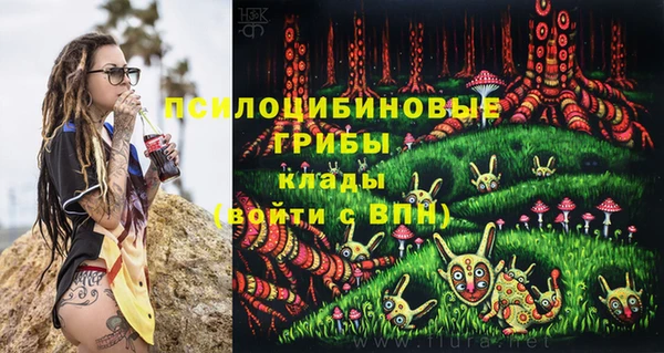 Альфа ПВП Володарск
